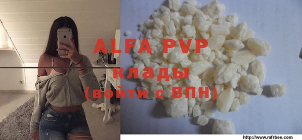 молекула духа Богданович