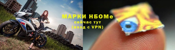 mdpv Бородино