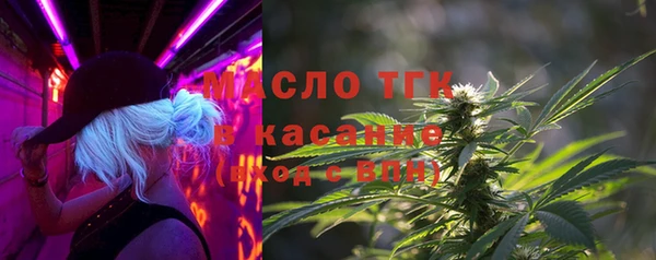 молекула духа Богданович